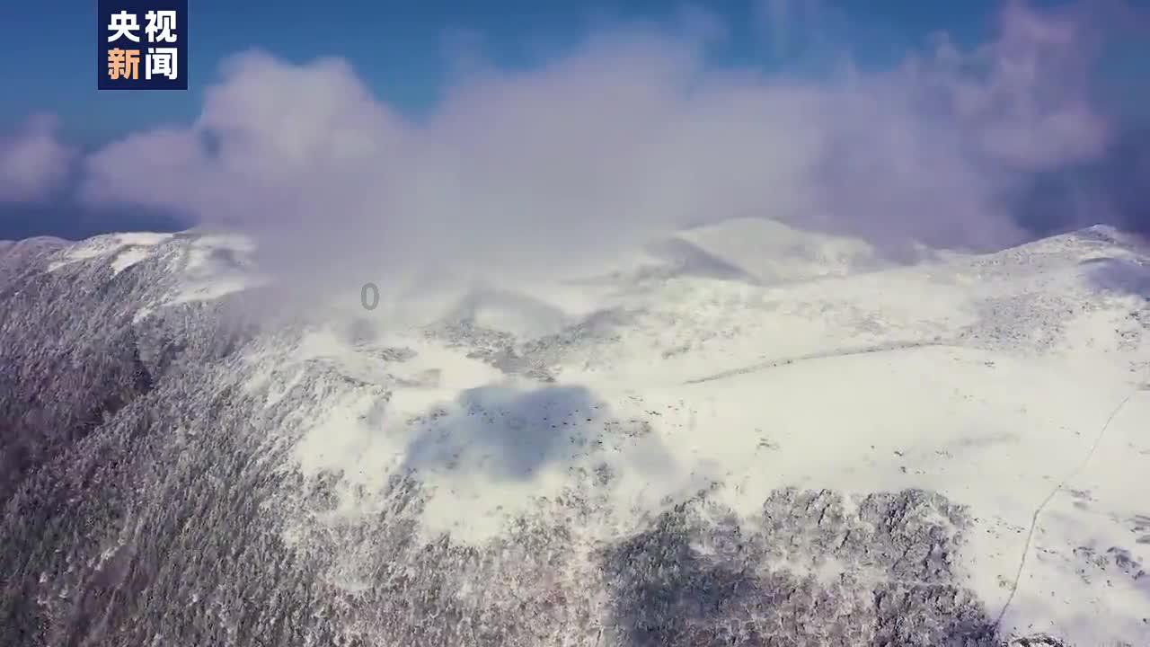 影视工厂