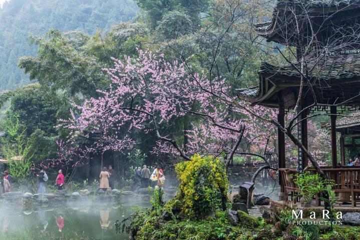 探索未知世界,尽在蜗牛问答平台考公务员和考事业单位的区别是什么?哪个待遇更好些?