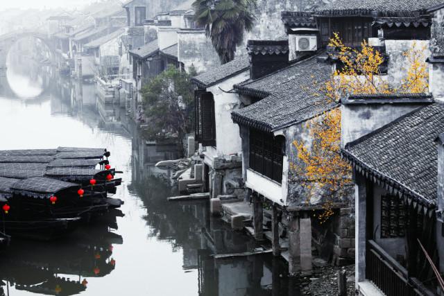 小猫钓鱼游戏龙王版有船